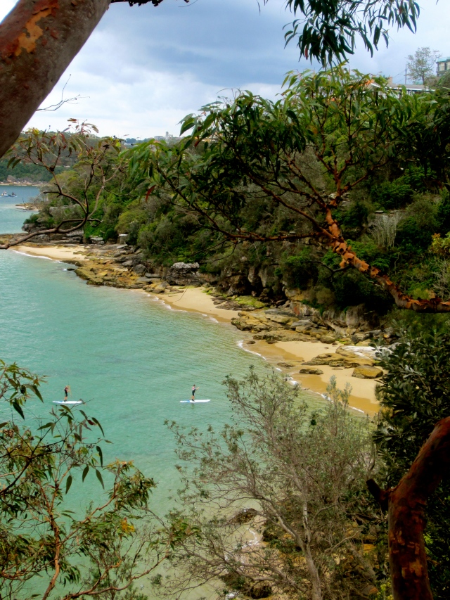 Along the scenic walk from manly to The Spit Bridge. soo many cute, hidden beaches <3